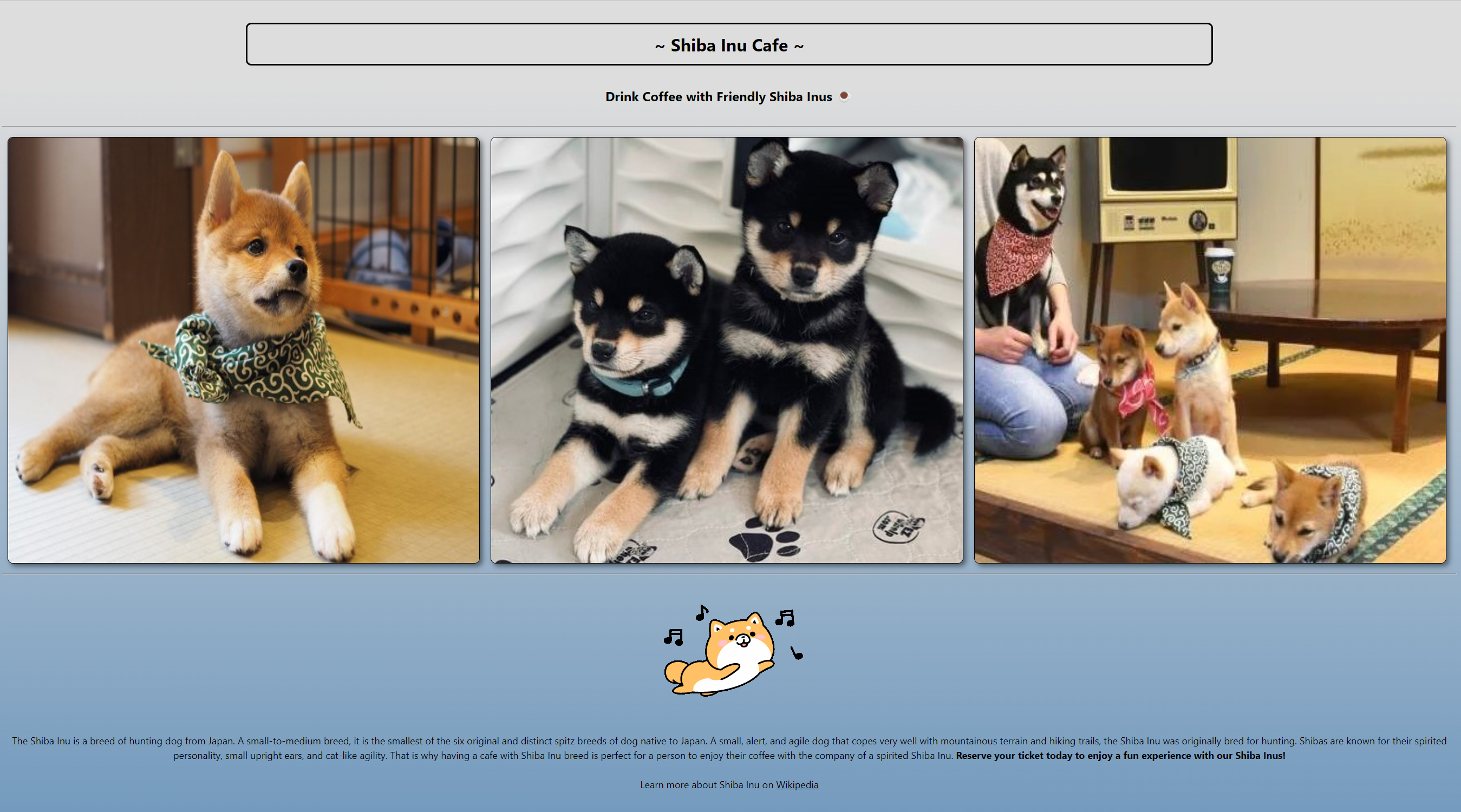 Shiba inu cafe coding project